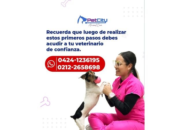 Fachada de Pet City Animal Care